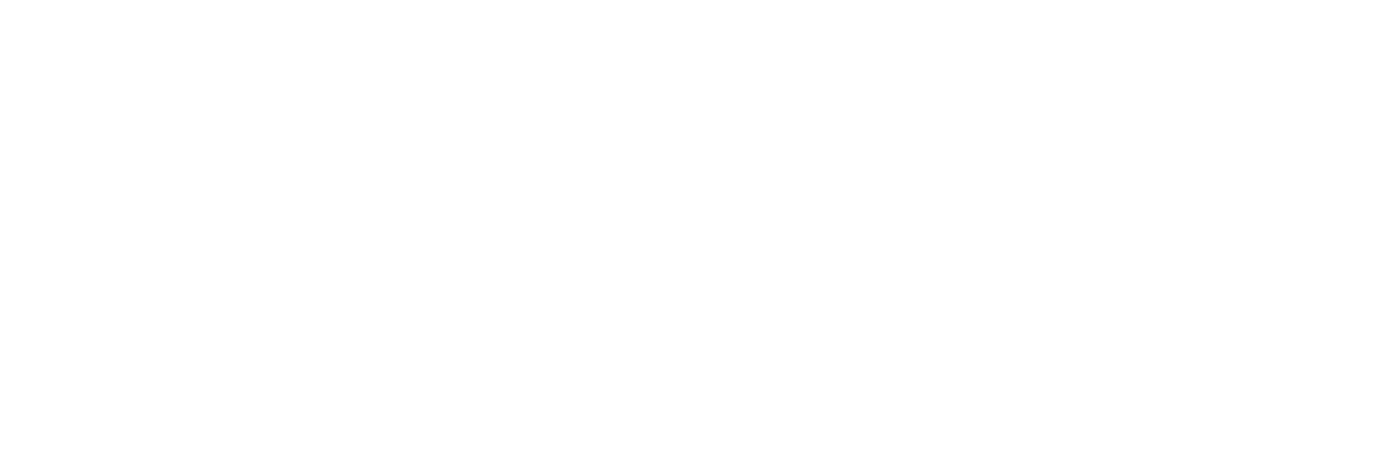 Soldier Logo